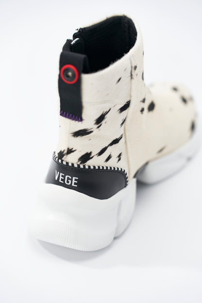 Sky Walker2