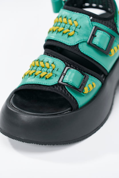 Comet 【PRE ORDER】