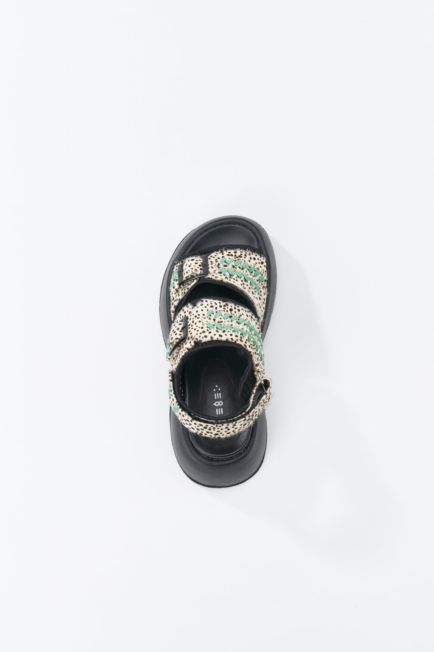 Comet 【PRE ORDER】