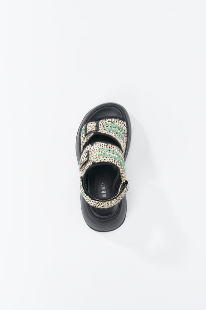 Comet 【PRE ORDER】