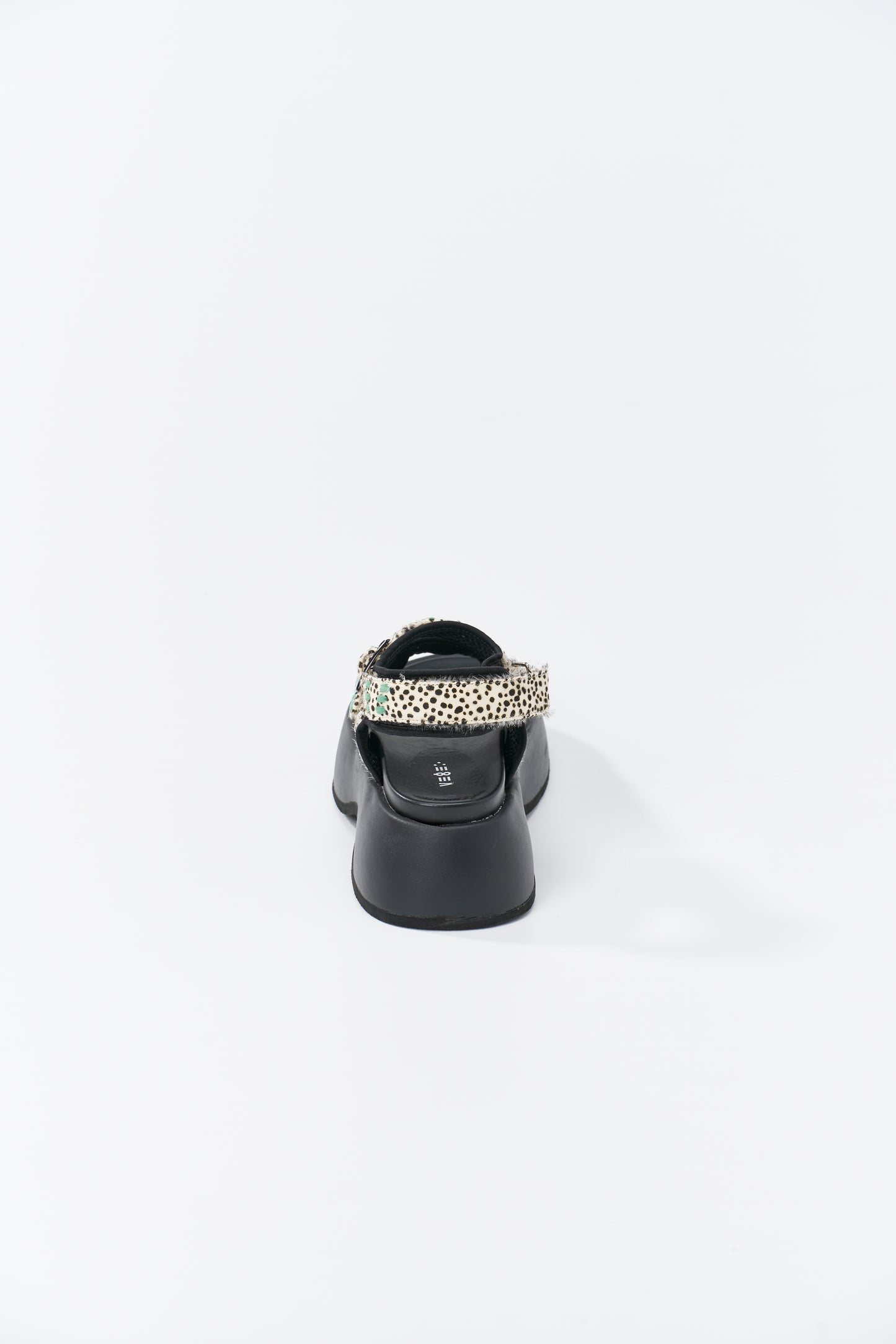 Comet 【PRE ORDER】