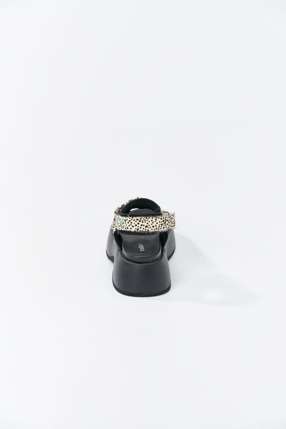 Comet 【PRE ORDER】